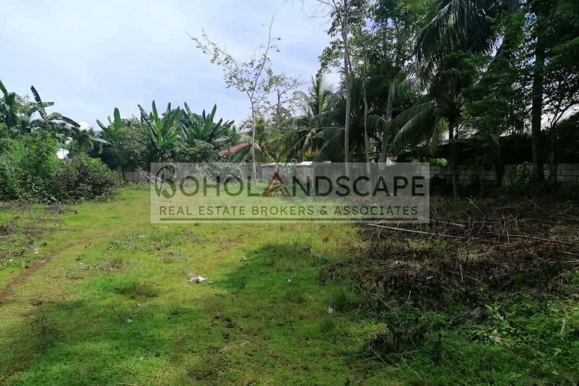 Land for Sale in Looc, Panglao, Bohol – photo 4