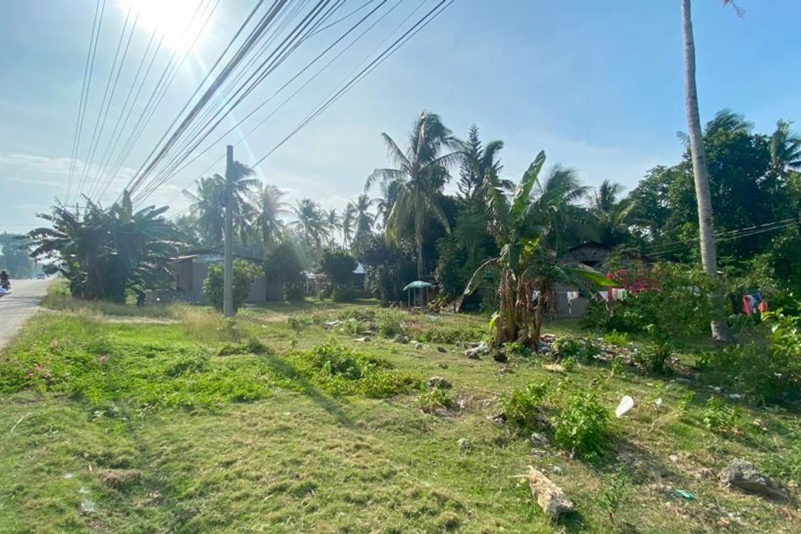 Land for Sale in Looc, Panglao, Bohol