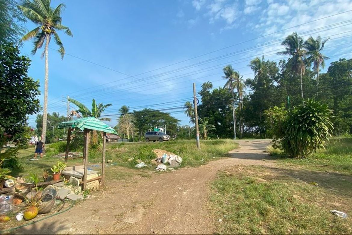 Land for Sale in Looc, Panglao, Bohol – photo 5