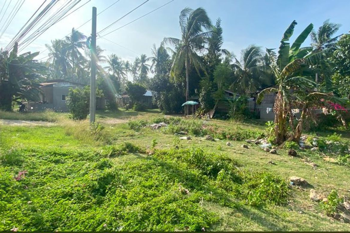 Land for Sale in Looc, Panglao, Bohol – photo 7
