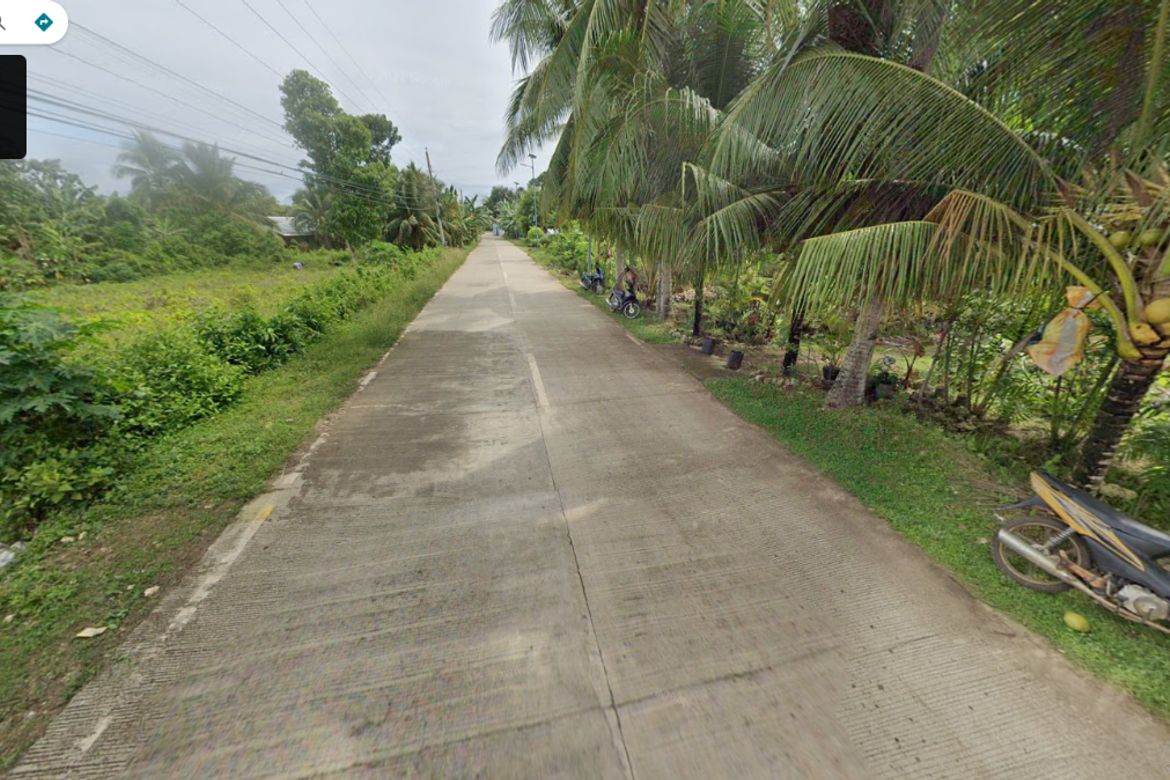 Land for Sale in Looc, Panglao, Bohol – photo 2