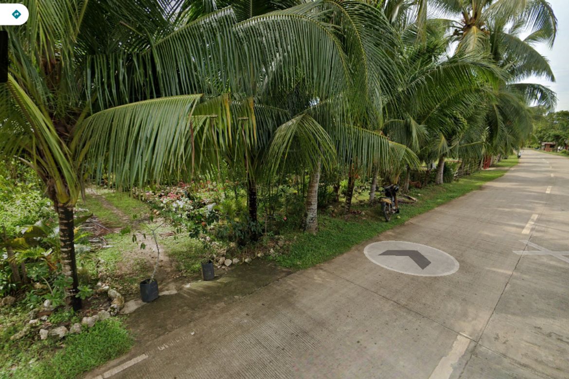 Land for Sale in Looc, Panglao, Bohol – photo 4