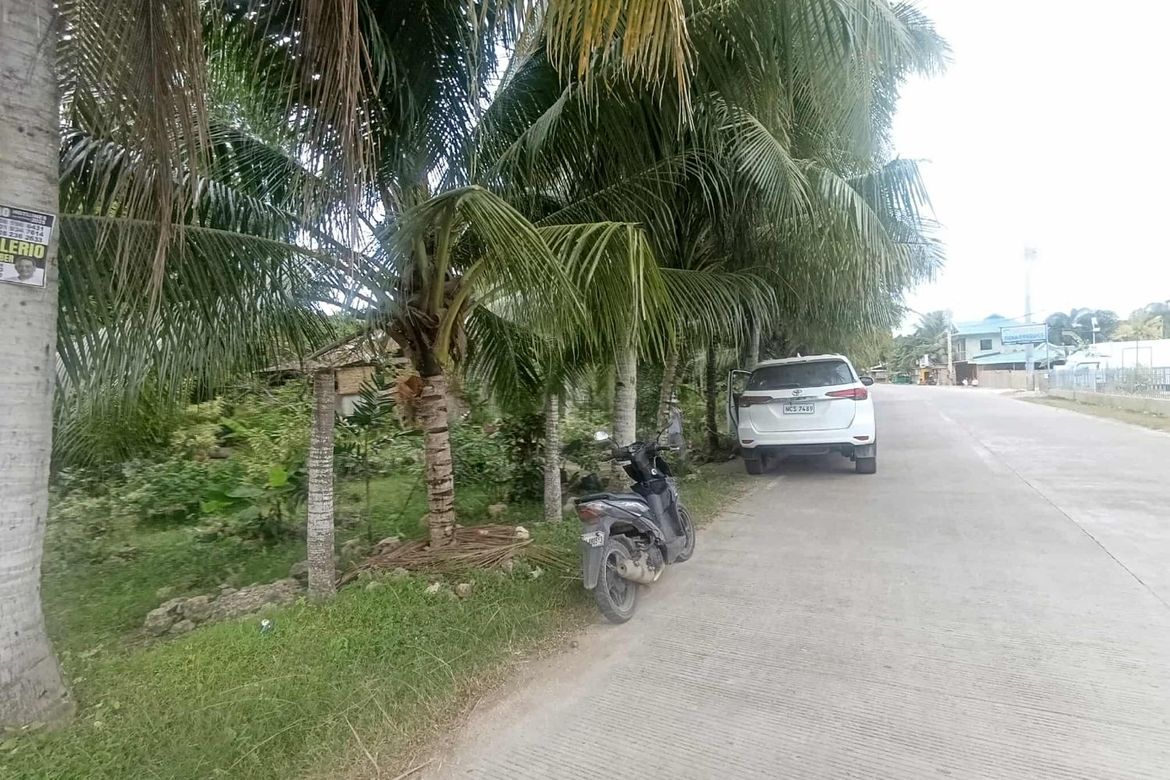 Land for Sale in Looc, Panglao, Bohol – photo 7