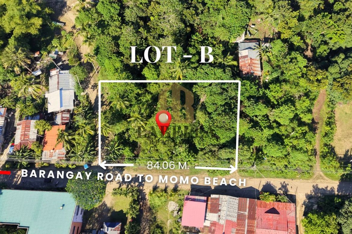 Land for Sale in Looc, Panglao, Bohol – photo 3
