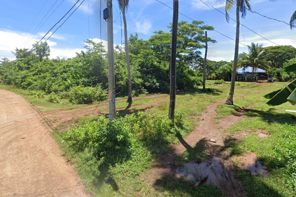 Land for Sale in Looc, Panglao, Bohol