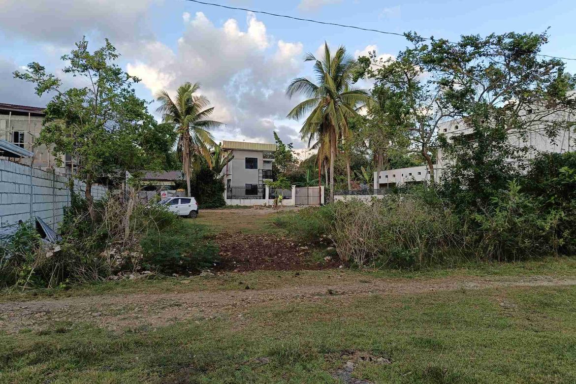 Land for Sale in Looc, Panglao, Bohol – photo 3