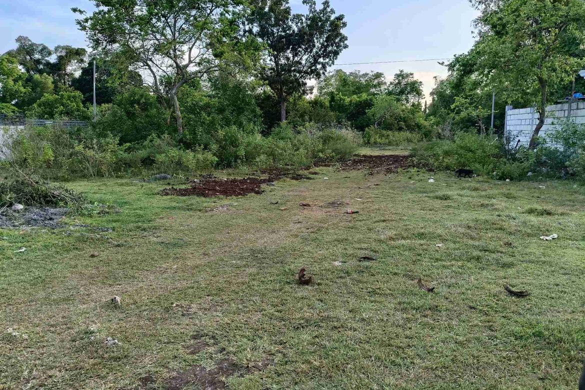 Land for Sale in Looc, Panglao, Bohol – photo 4