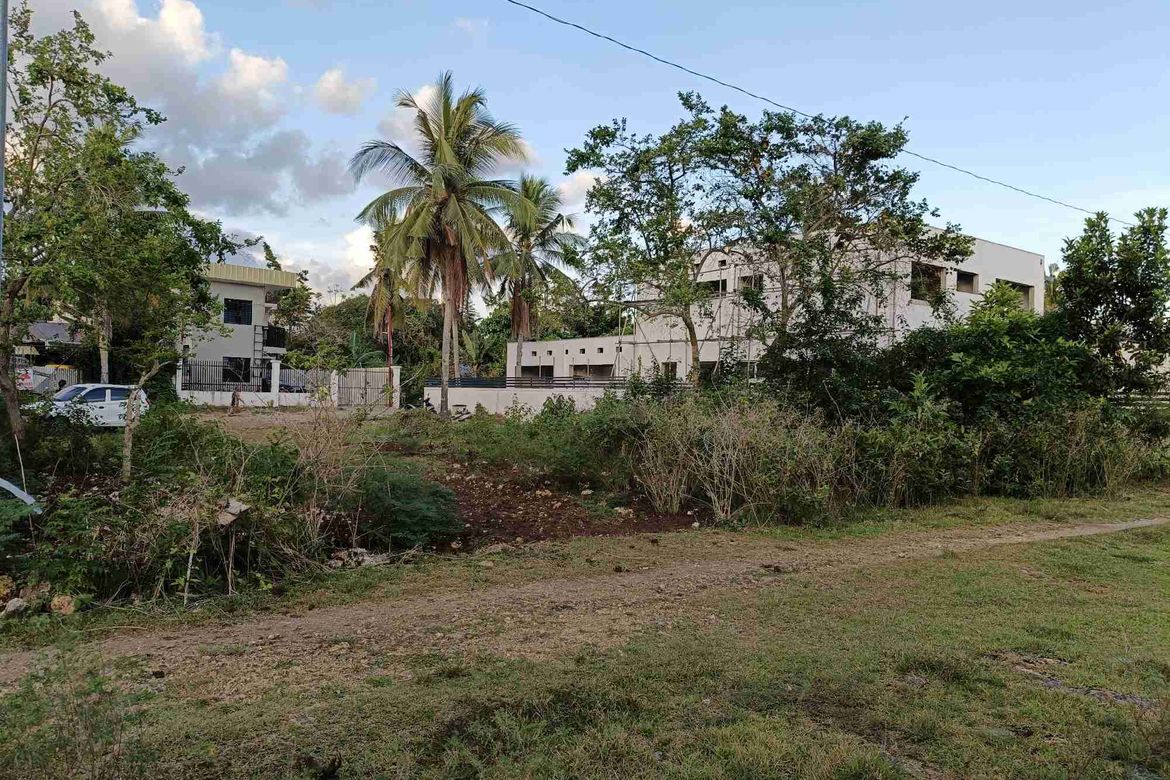 Land for Sale in Looc, Panglao, Bohol – photo 6