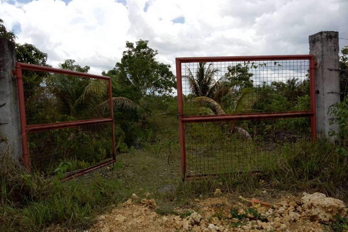 Land for Sale in Loreto, Cortes, Bohol