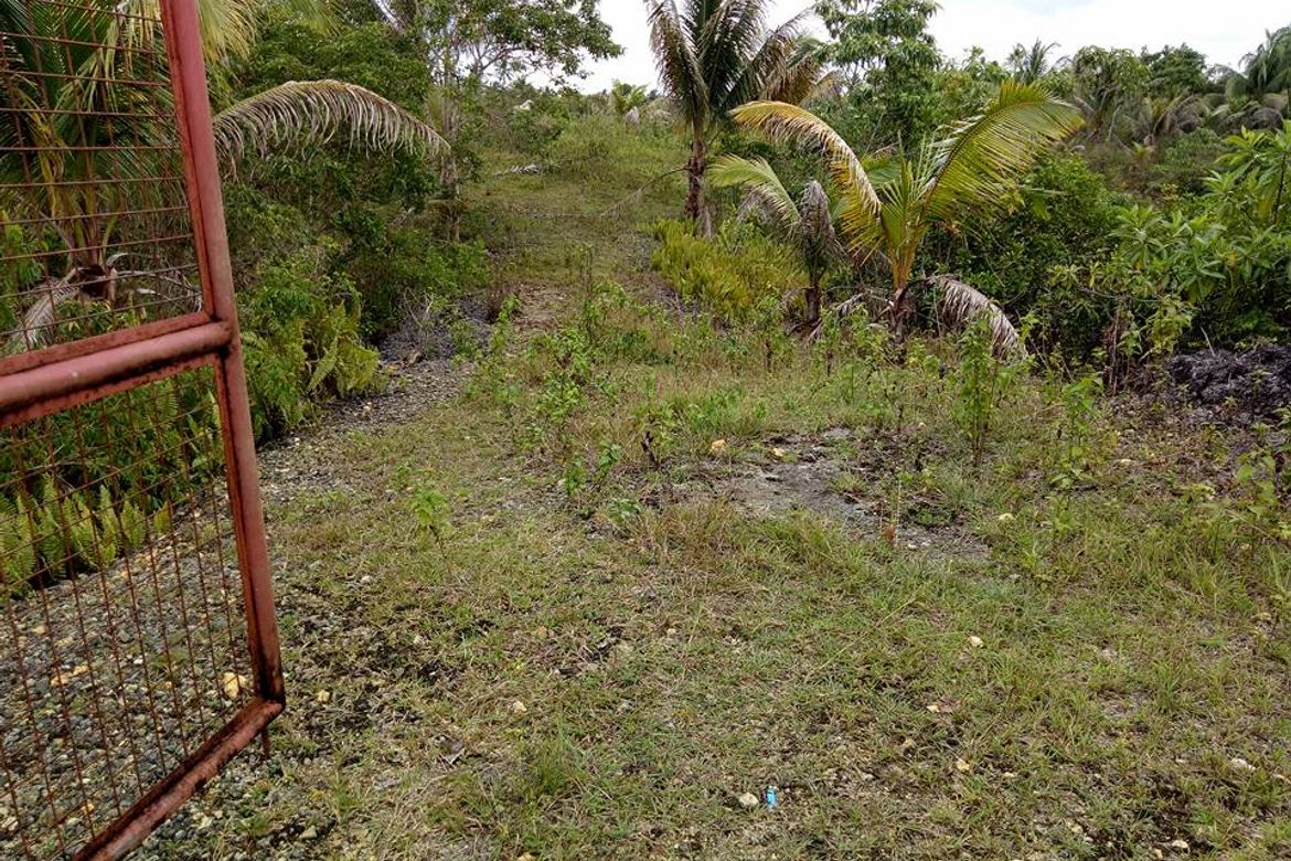 Land for Sale in Loreto, Cortes, Bohol – photo 4