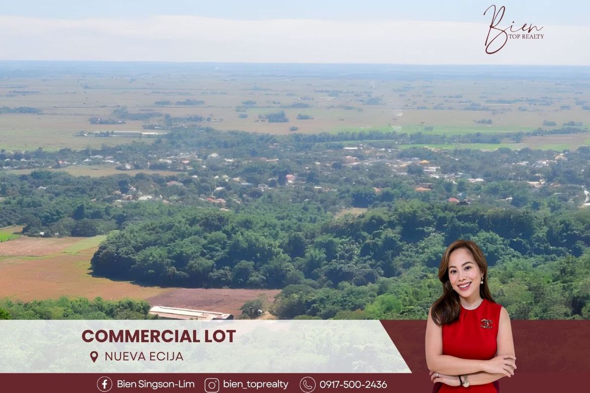 Land for Sale in Lourdes, Cabanatuan, Nueva Ecija