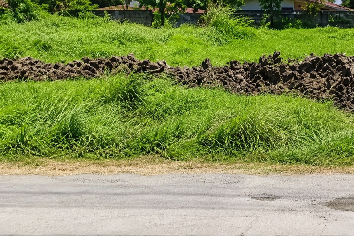 Land for Sale in Lourdes, Cabanatuan, Nueva Ecija