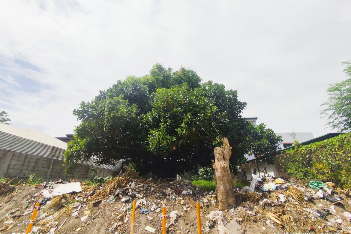 Land for Sale in Lourdes North West, Angeles, Pampanga – photo 7