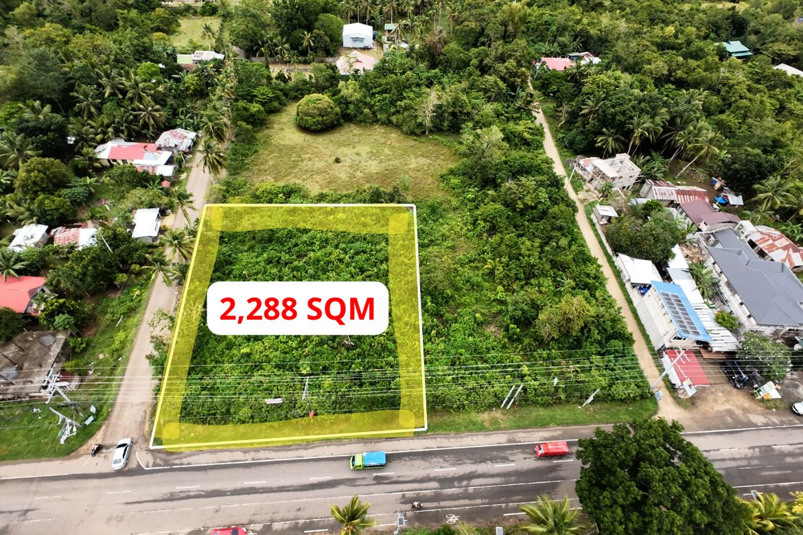 Land for Sale in Lourdes, Panglao, Bohol