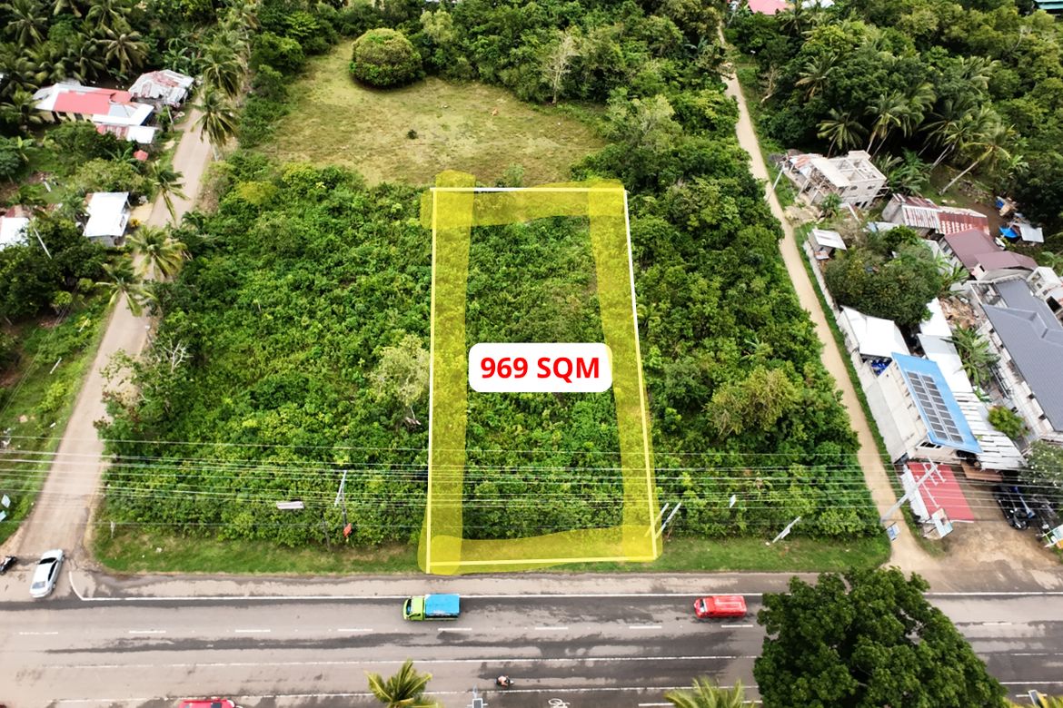 Land for Sale in Lourdes, Panglao, Bohol