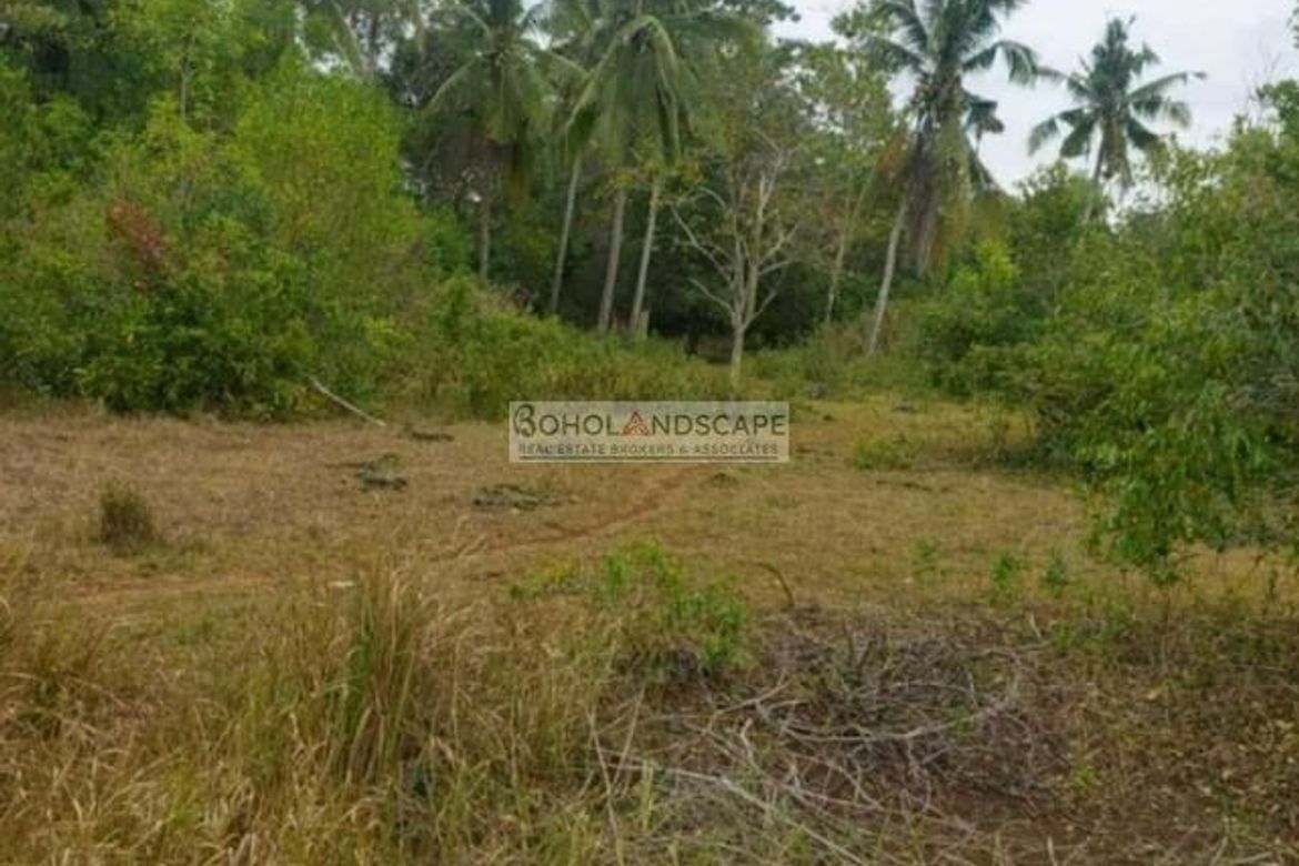 Land for Sale in Lourdes, Panglao, Bohol – photo 4