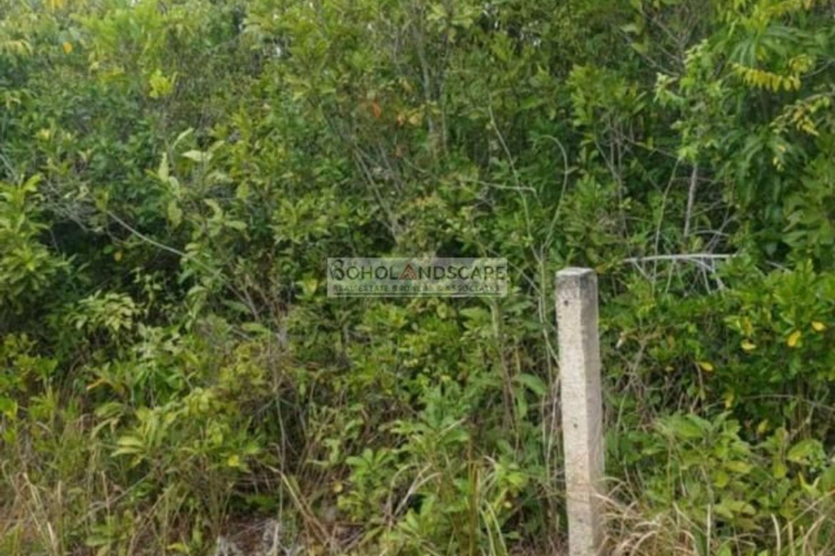 Land for Sale in Lourdes, Panglao, Bohol – photo 6