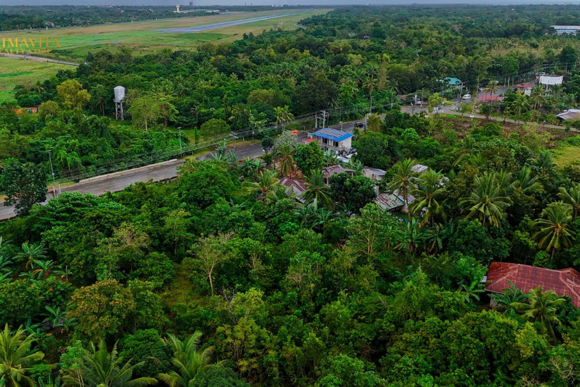 Land for Sale in Lourdes, Panglao, Bohol – photo 4