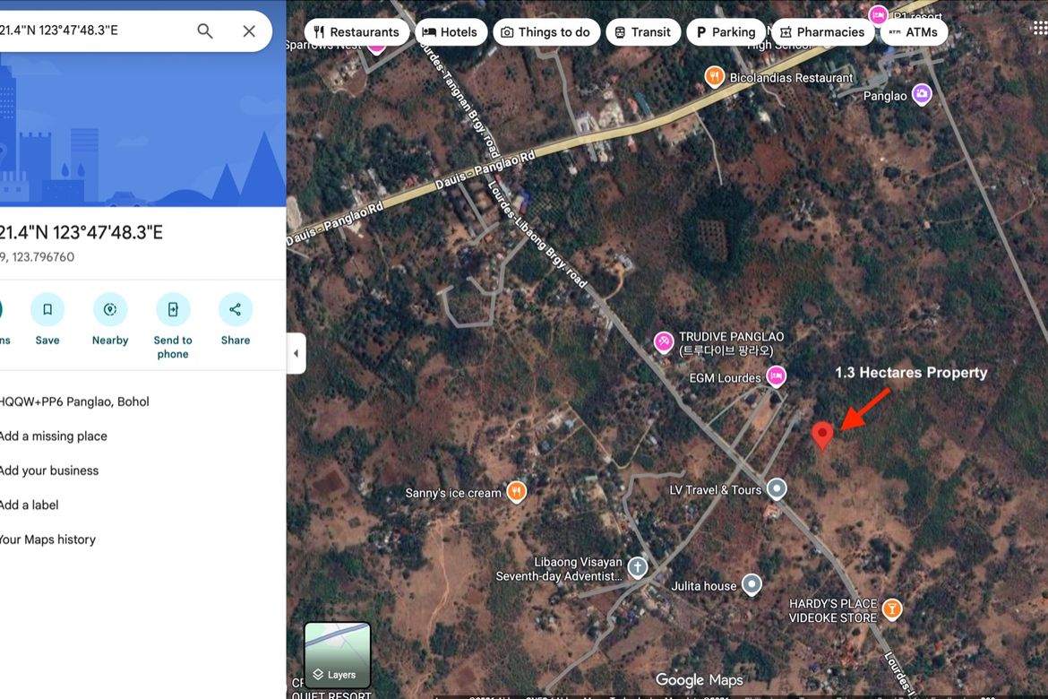 Land for Sale in Lourdes, Panglao, Bohol – photo 7