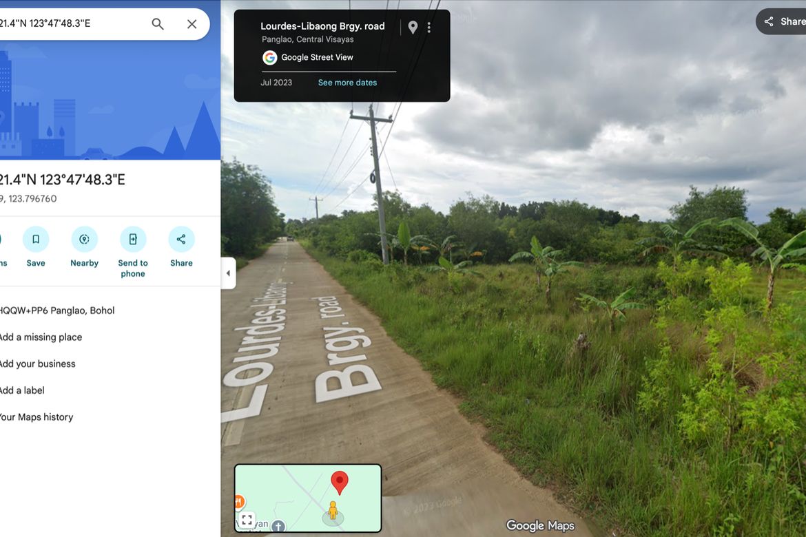 Land for Sale in Lourdes, Panglao, Bohol – photo 2