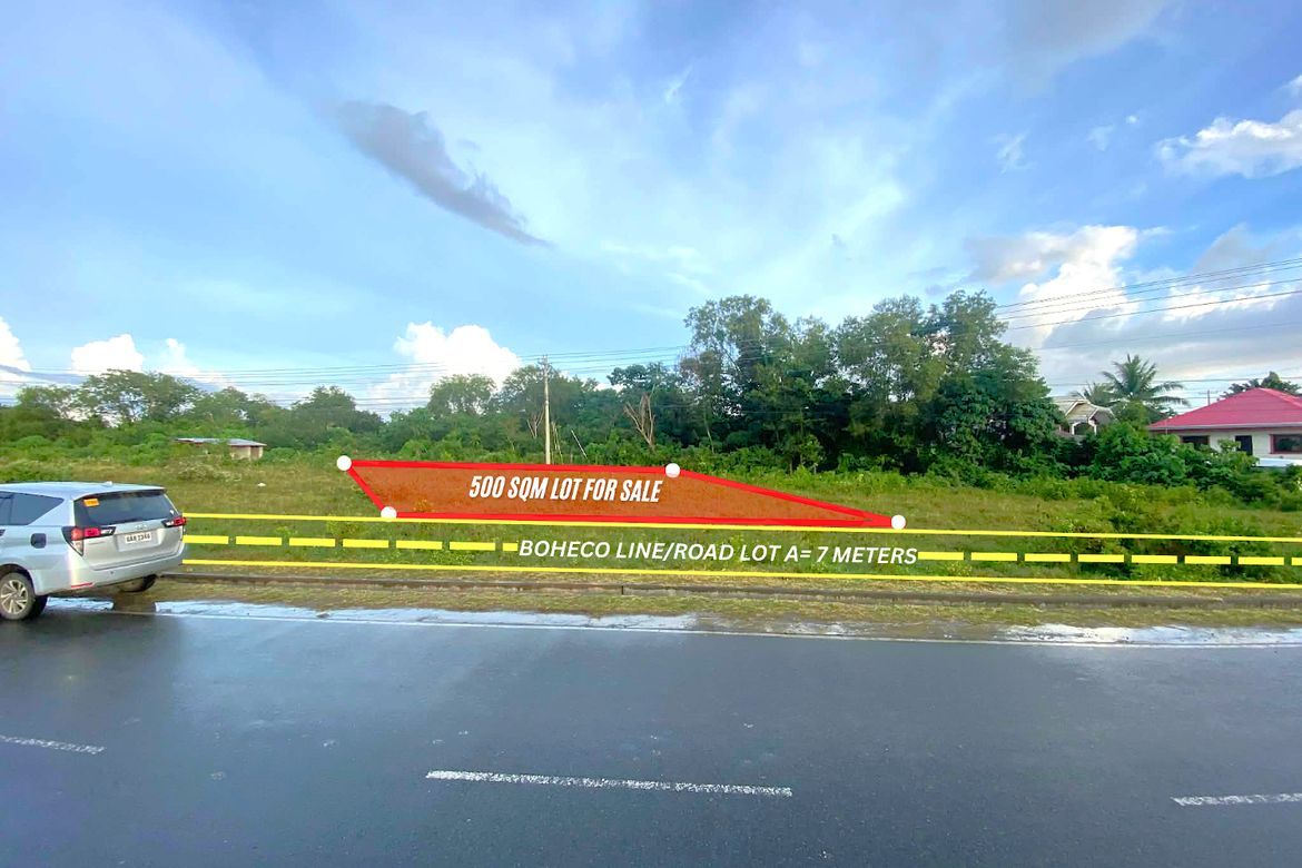 Land for Sale in Lourdes, Panglao, Bohol – photo 2