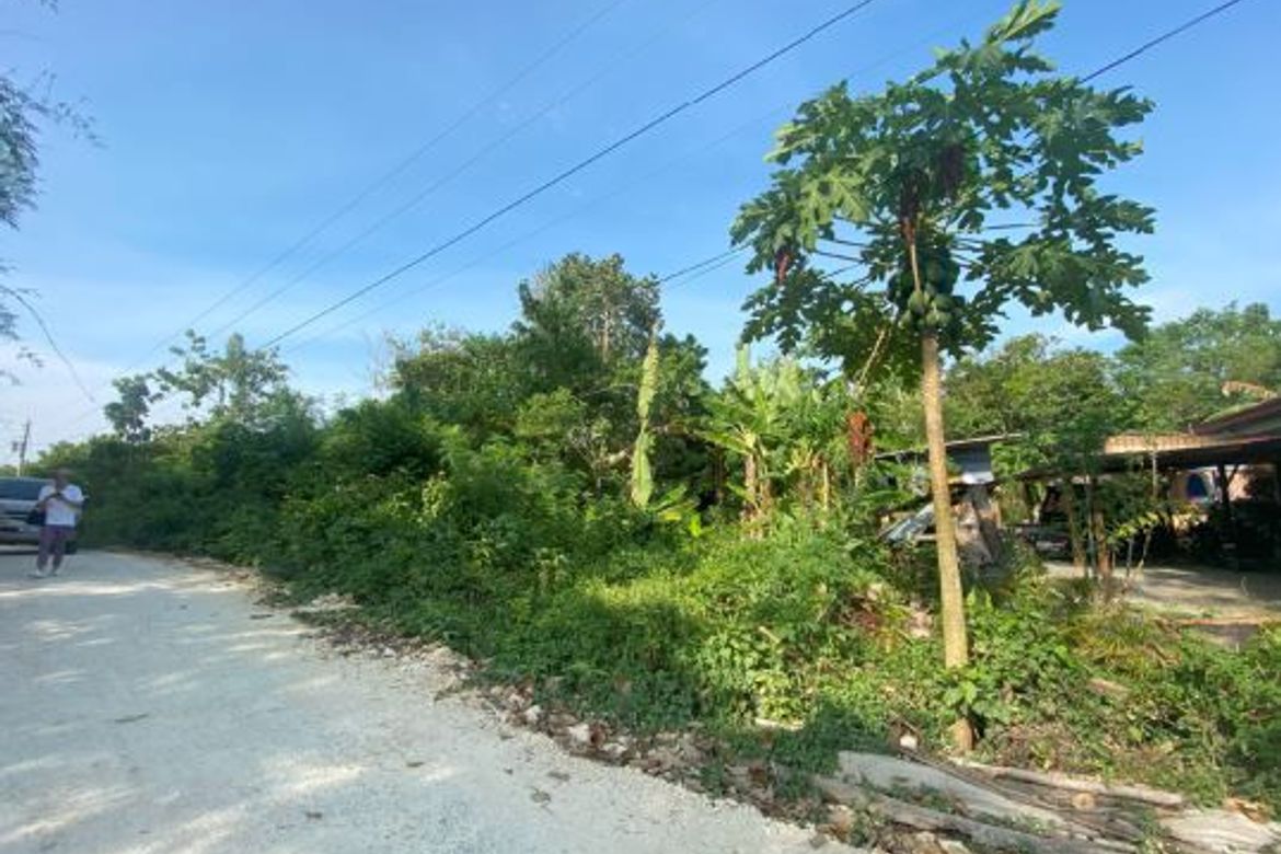Land for Sale in Lourdes, Panglao, Bohol – photo 2