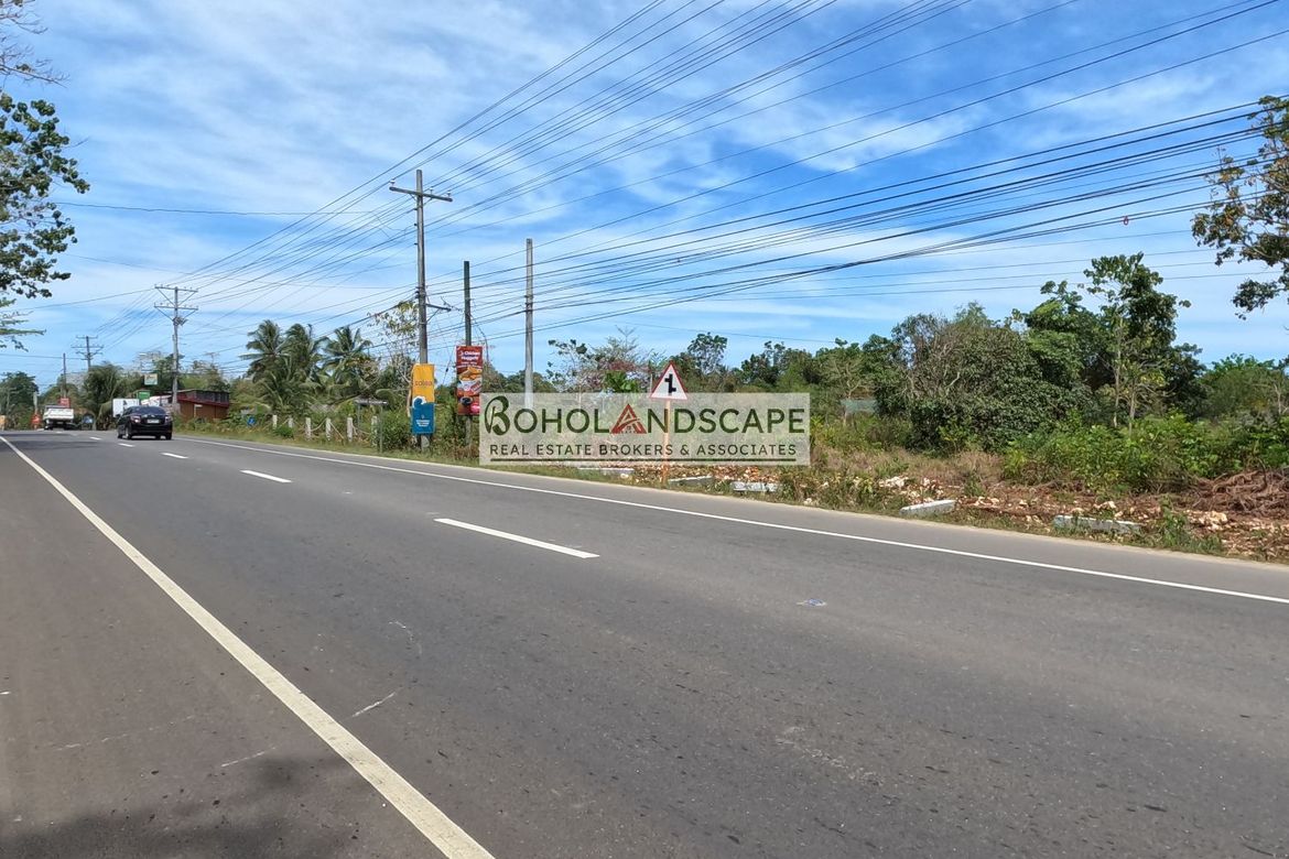 Land for Sale in Lourdes, Panglao, Bohol – photo 3