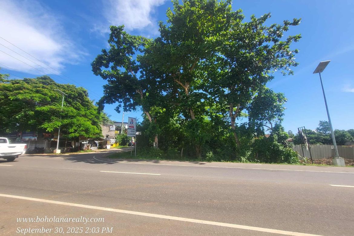 Land for Sale in Lourdes, Panglao, Bohol – photo 2