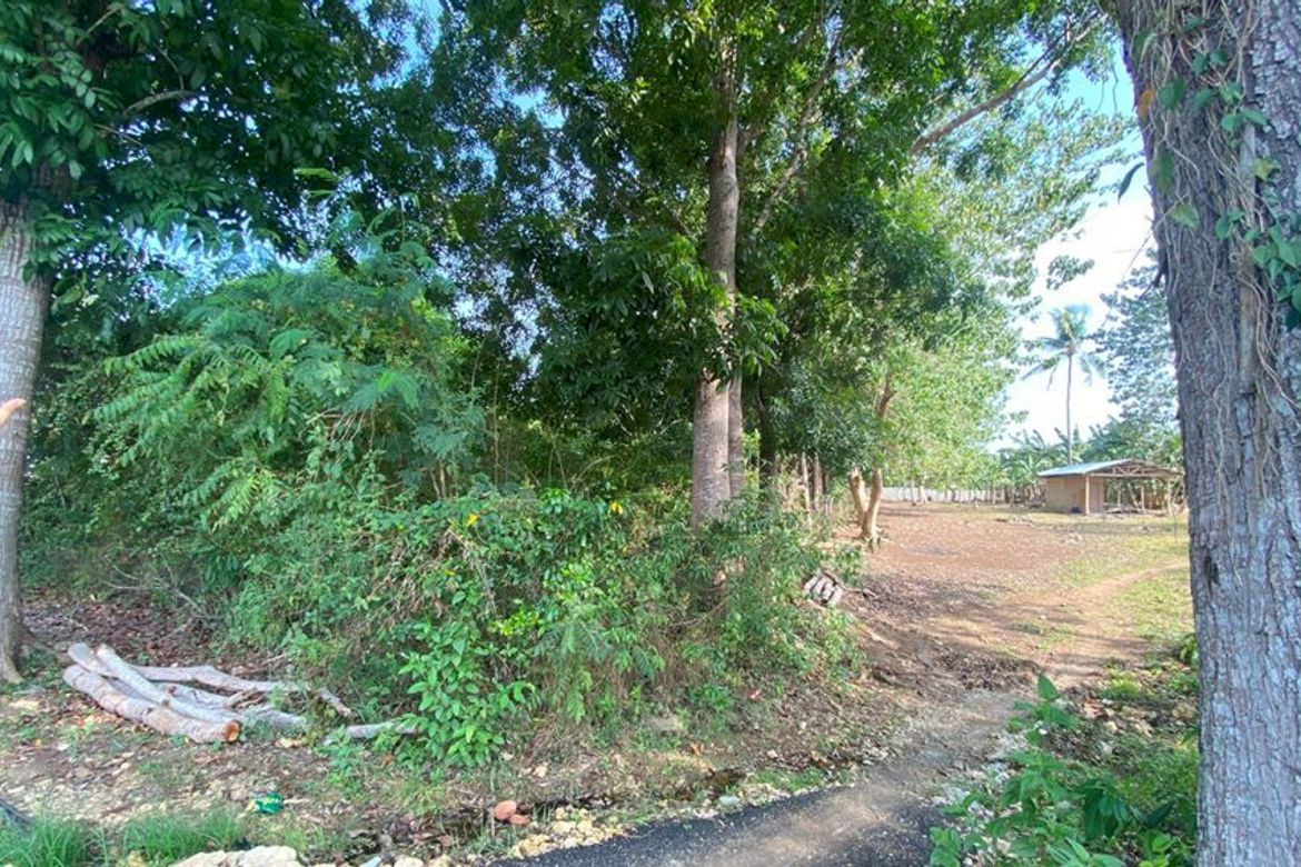 Land for Sale in Lourdes, Panglao, Bohol – photo 8
