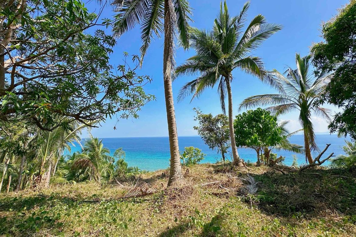Land for Sale in Lower Omon, Ragay, Camarines Sur – photo 2