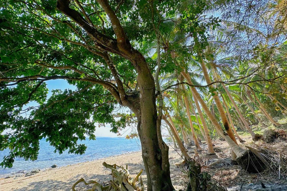 Land for Sale in Lower Omon, Ragay, Camarines Sur – photo 3