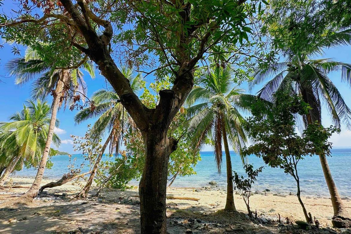 Land for Sale in Lower Omon, Ragay, Camarines Sur – photo 4