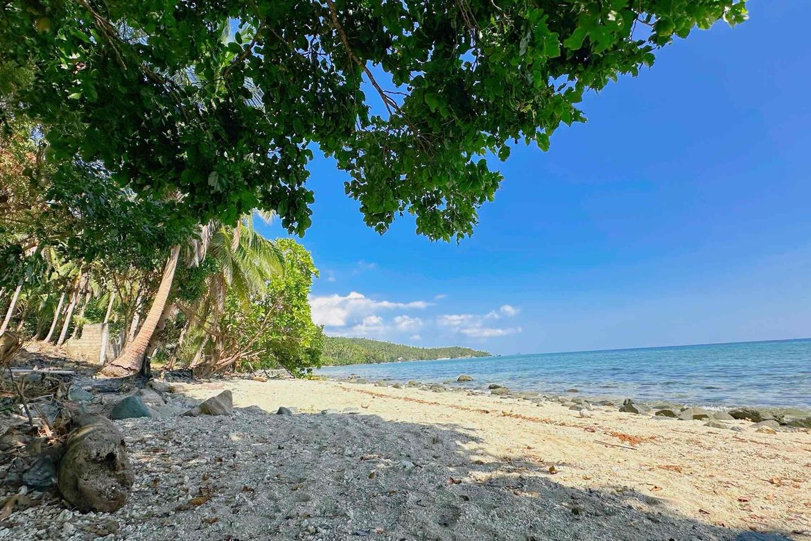 Land for Sale in Lower Omon, Ragay, Camarines Sur – photo 5