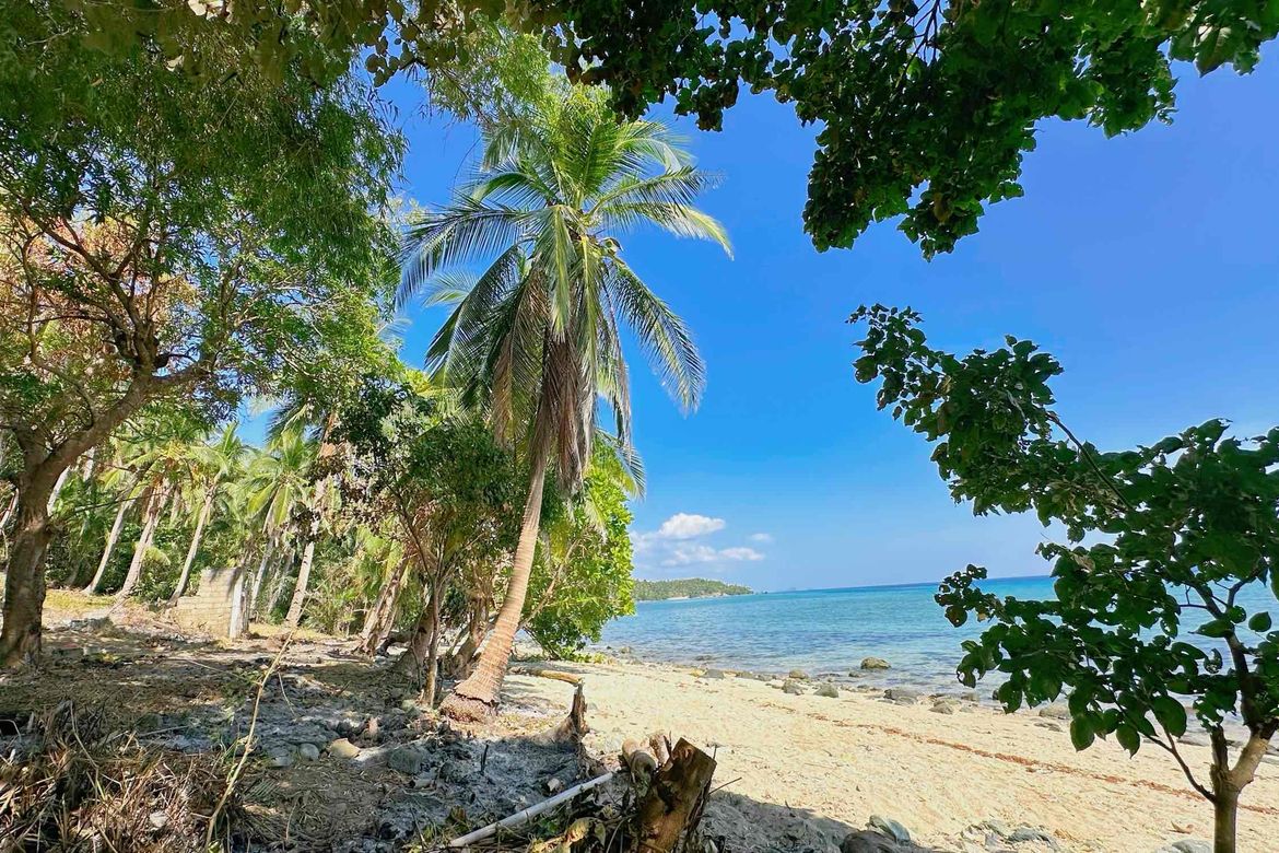 Land for Sale in Lower Omon, Ragay, Camarines Sur – photo 6