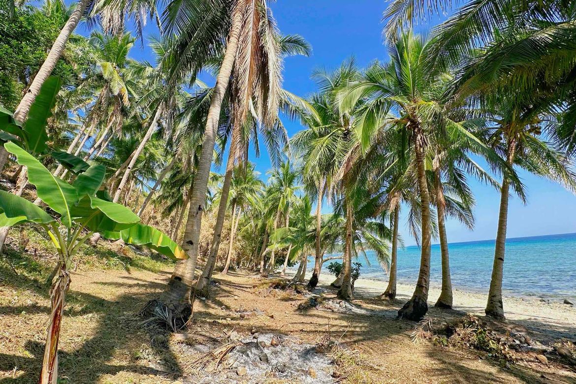 Land for Sale in Lower Omon, Ragay, Camarines Sur – photo 8