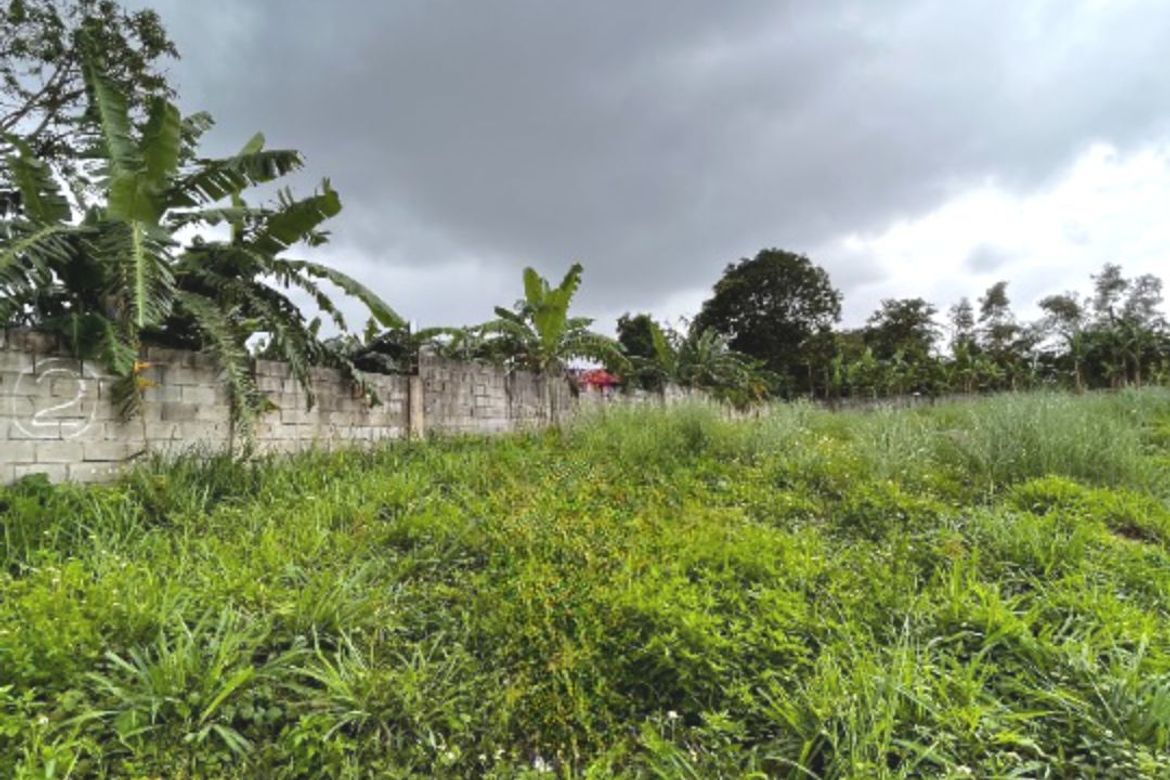 Land for Sale in LOYOLA GRAND VILLAS, Ramon Magsaysay, Quezon City, Metro Manila near LRT-1 Roosevelt – photo 2