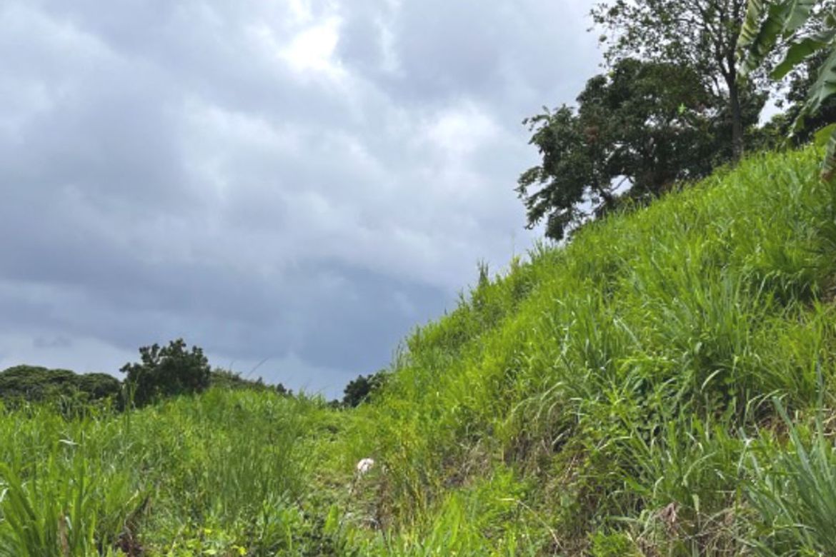 Land for Sale in LOYOLA GRAND VILLAS, Ramon Magsaysay, Quezon City, Metro Manila near LRT-1 Roosevelt – photo 3