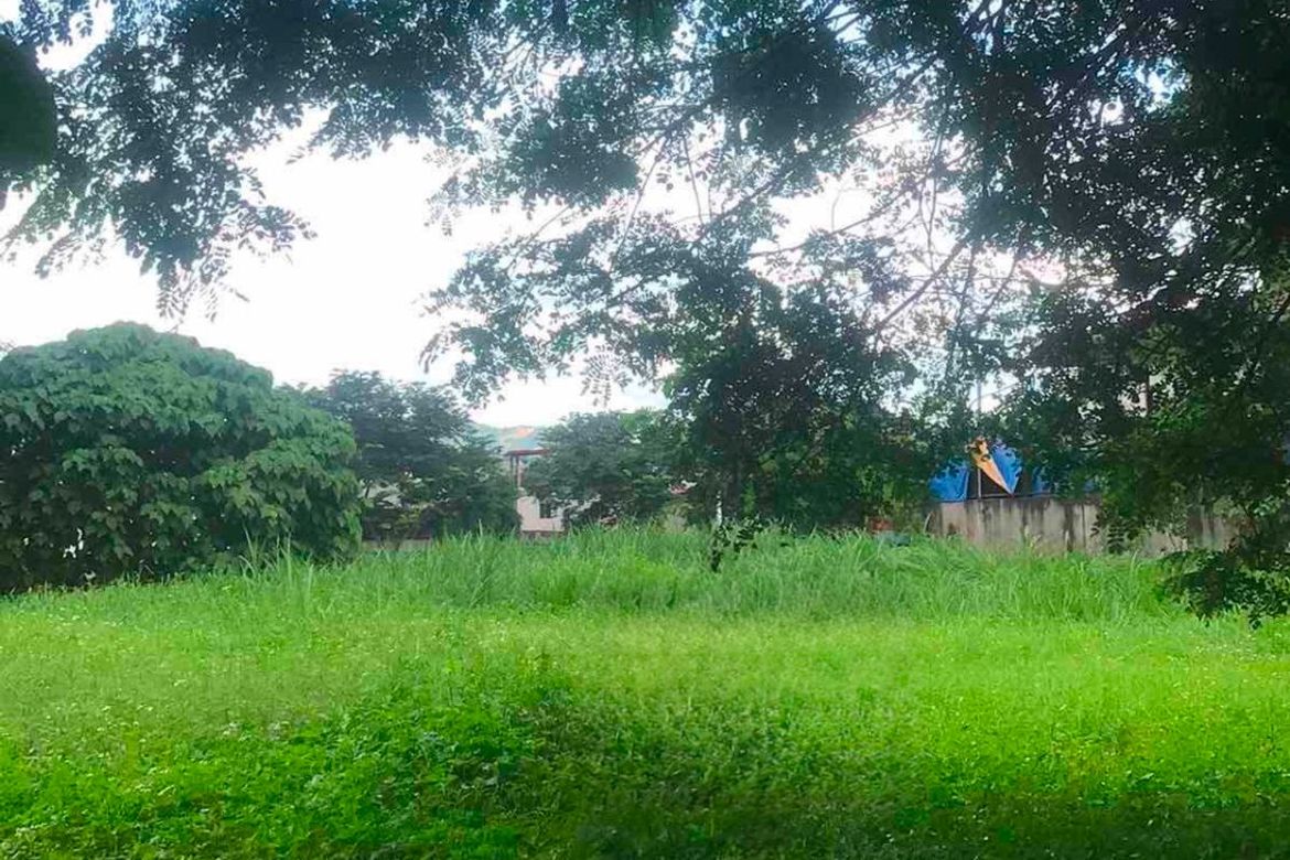 Land for Sale in LOYOLA GRAND VILLAS, Ramon Magsaysay, Quezon City, Metro Manila near LRT-1 Roosevelt – photo 5