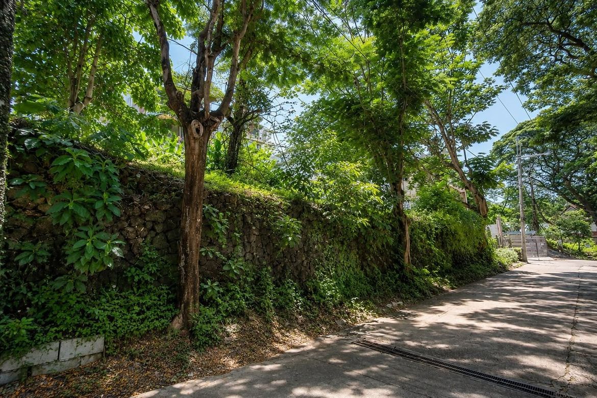 Land for Sale in LOYOLA GRAND VILLAS, Ramon Magsaysay, Quezon City, Metro Manila near LRT-1 Roosevelt