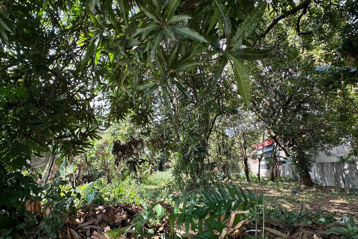 Land for Sale in Loyola Heights, Quezon City, Metro Manila near LRT-2 Katipunan