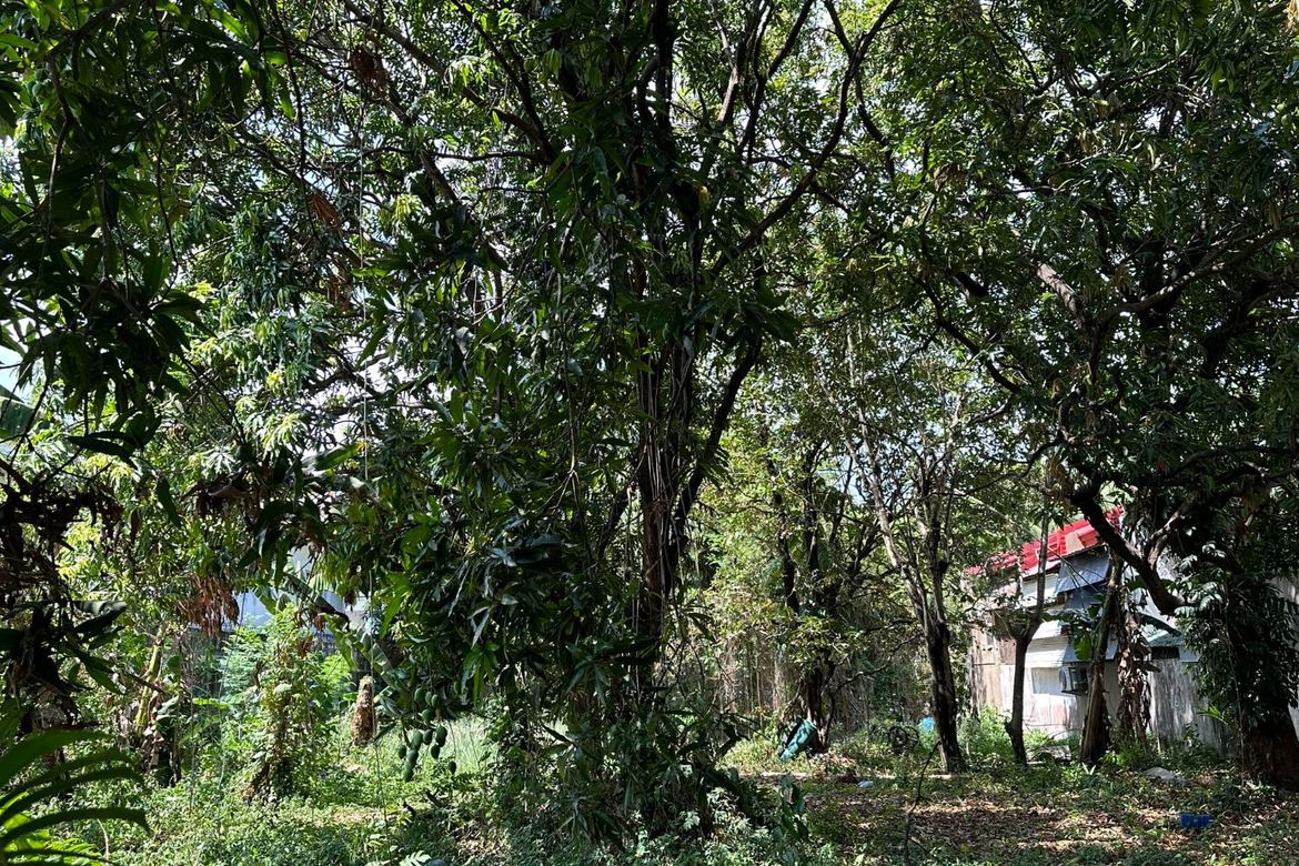 Land for Sale in Loyola Heights, Quezon City, Metro Manila near LRT-2 Katipunan – photo 3