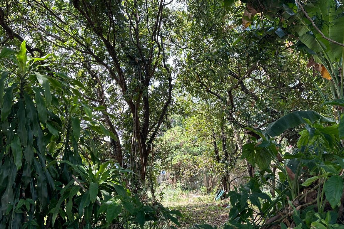 Land for Sale in Loyola Heights, Quezon City, Metro Manila near LRT-2 Katipunan – photo 4