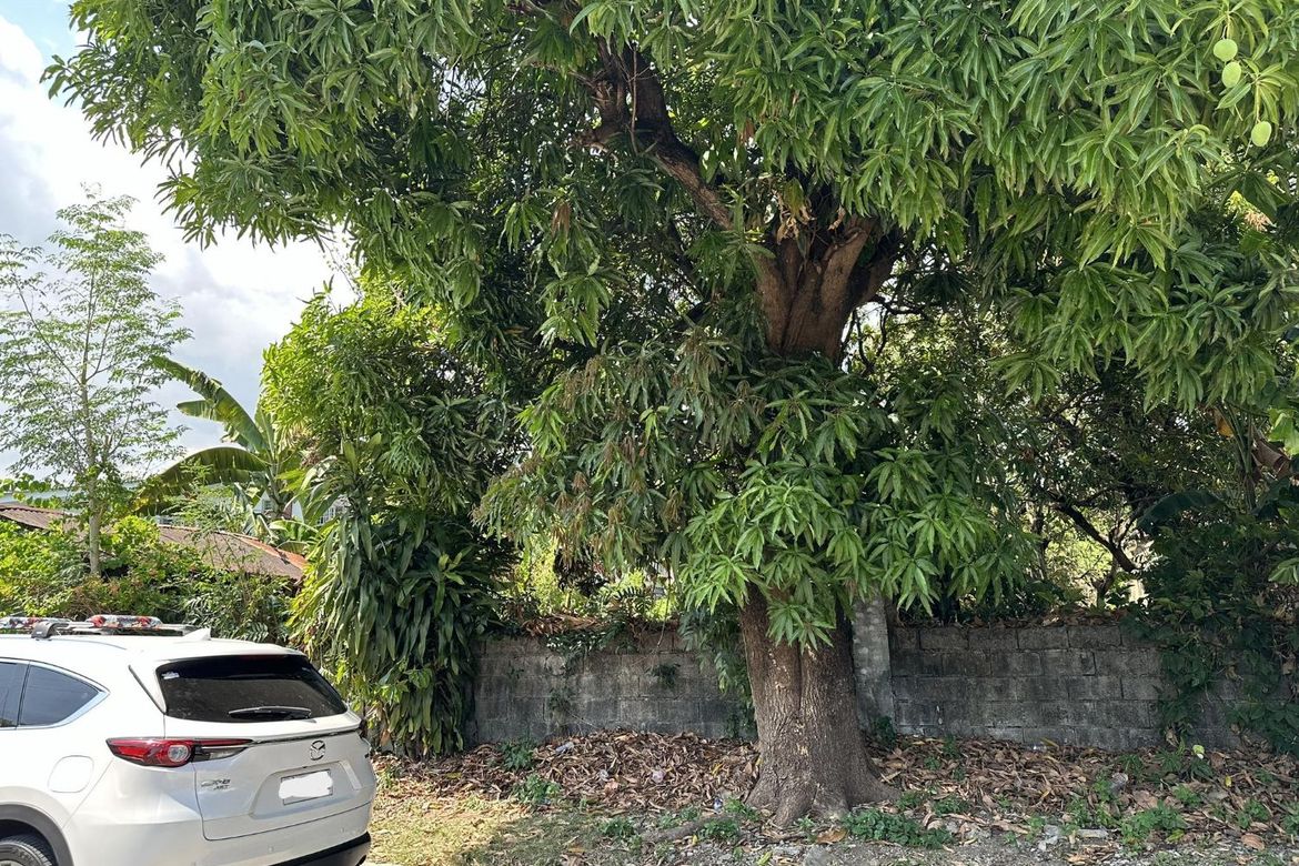Land for Sale in Loyola Heights, Quezon City, Metro Manila near LRT-2 Katipunan – photo 5