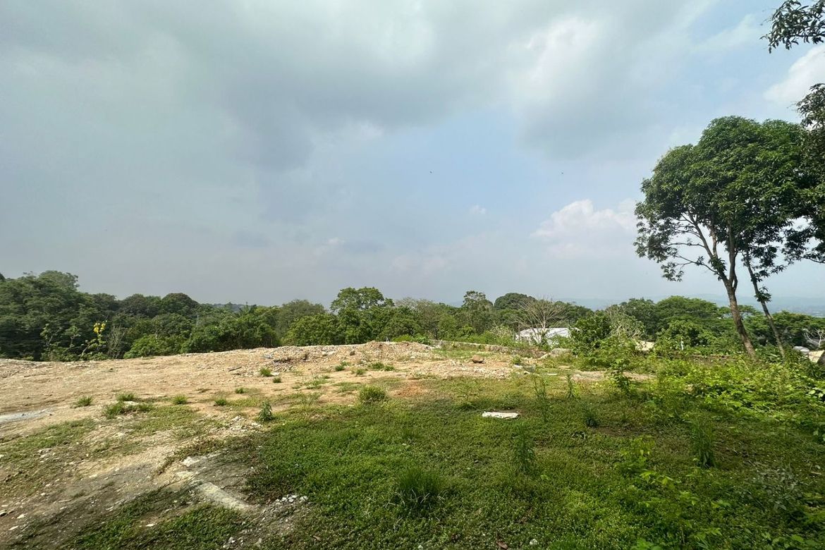 Land for Sale in Loyola Heights, Quezon City, Metro Manila – photo 5