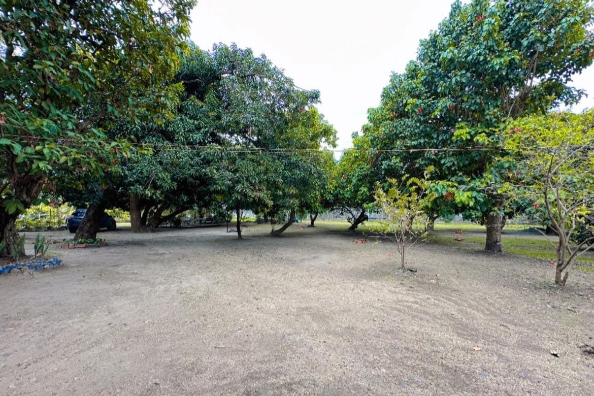 Land for Sale in Lubao, Pampanga – photo 3