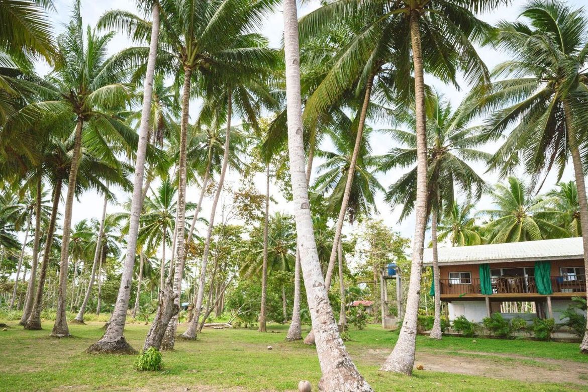 Land for Sale in Lucbuan, Puerto Princesa, Palawan – photo 3