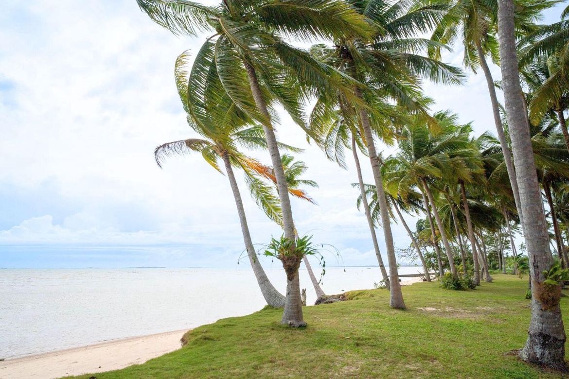 Land for Sale in Lucbuan, Puerto Princesa, Palawan – photo 4