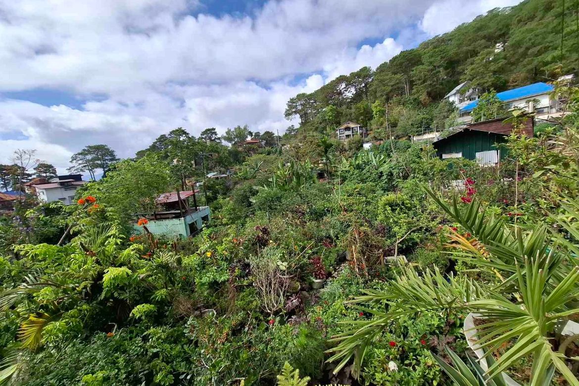 Land for Sale in Lucnab, Baguio, Benguet – photo 2