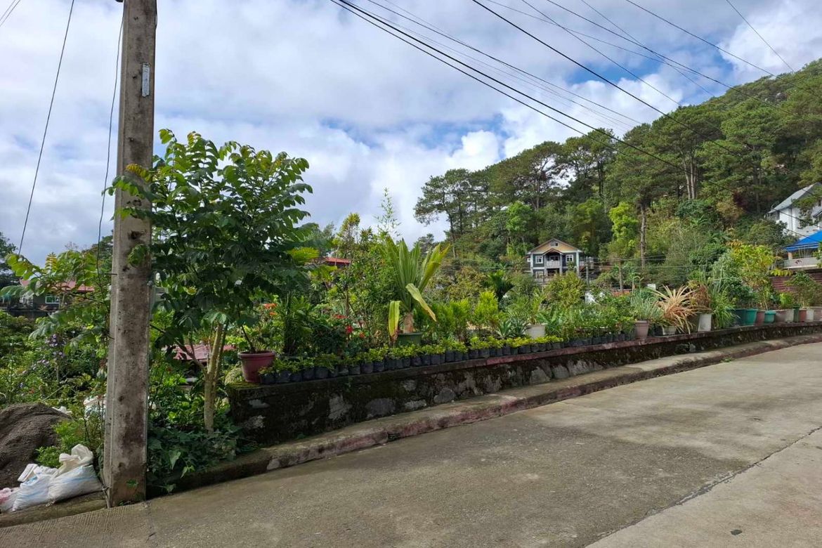 Land for Sale in Lucnab, Baguio, Benguet – photo 3