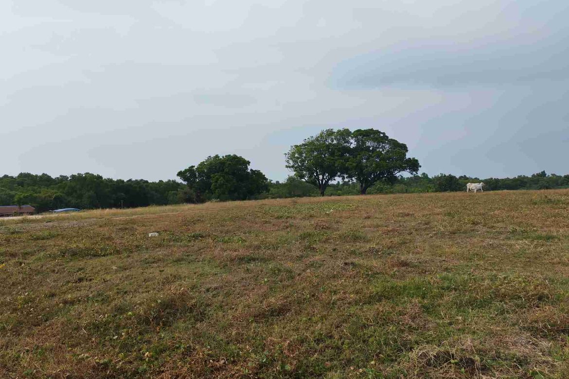 Land for Sale in Lucsuhin, Calatagan, Batangas – photo 8